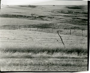 Image description is not available for PHO-4-W689-243